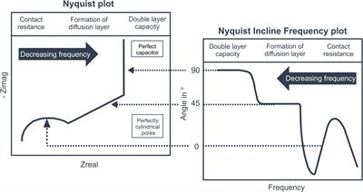 New Approach for Investigating Diffusion Kinetics Within Capacitive Deionization Electrodes Using Electrochemical Impedance Spectroscopy